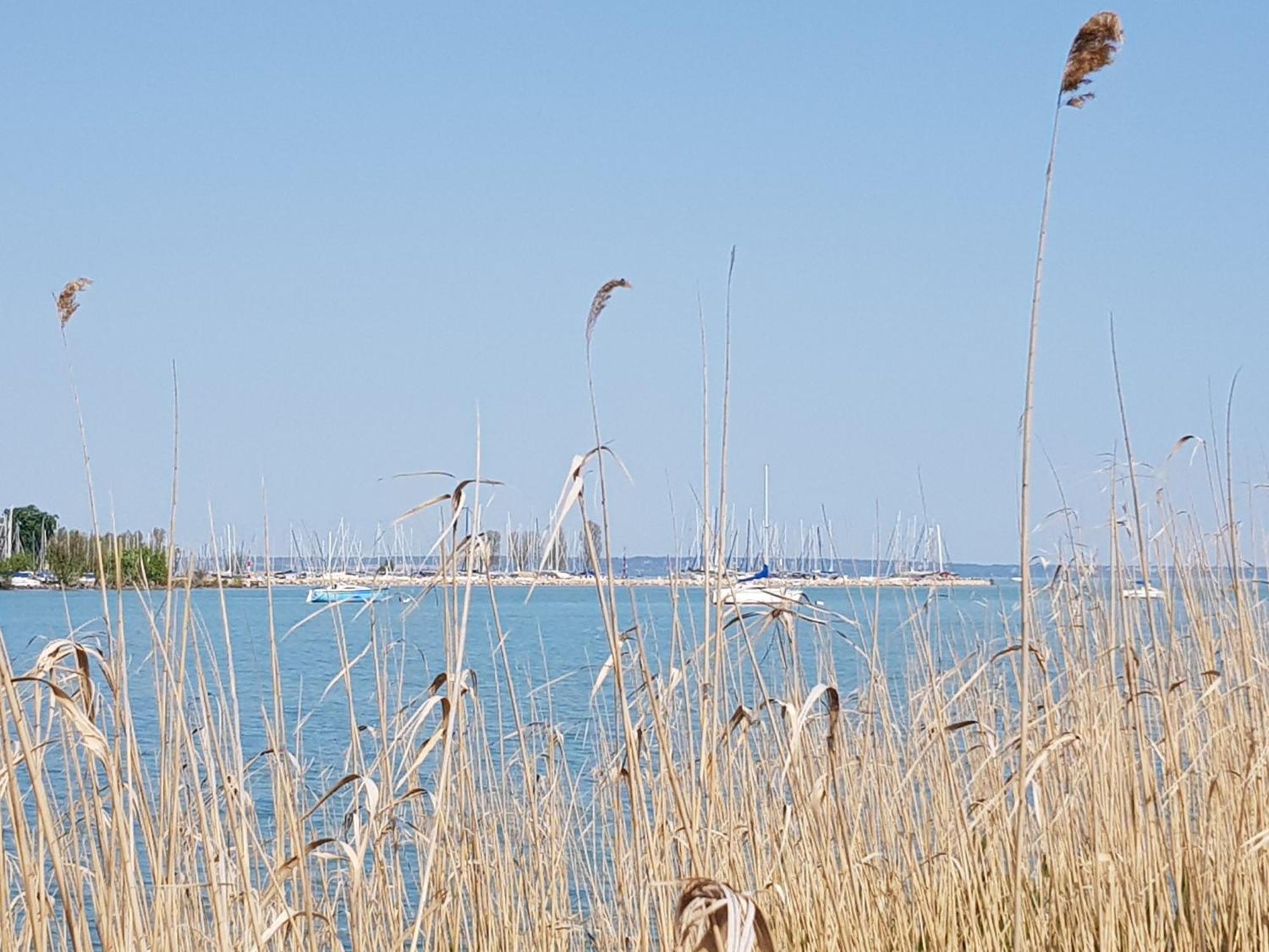 Coastline Balaton Apartment Alsoors Exterior photo